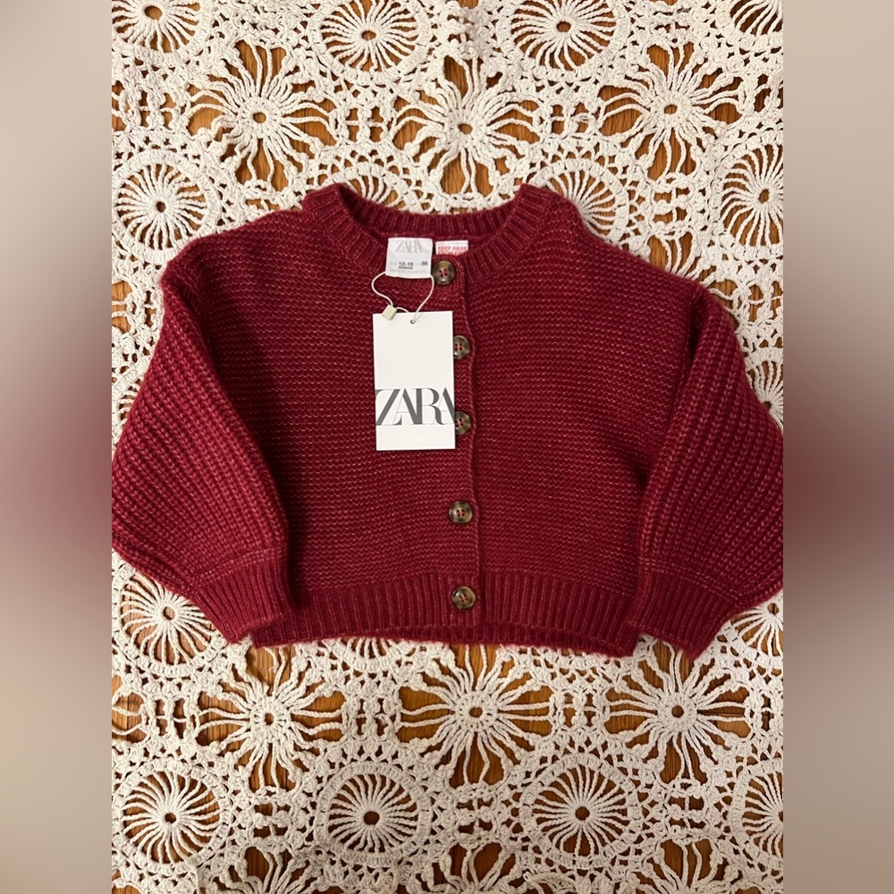 ZARA cardigan